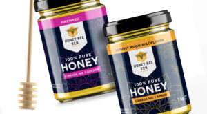 Read more about the article Honey Bee Zen