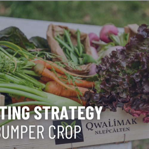 Marketing a Bumper Crop