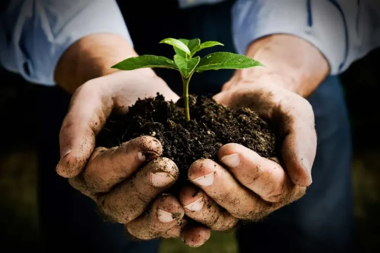 Farm Food Drink - Helping Food and Agriculture Businesses Grow