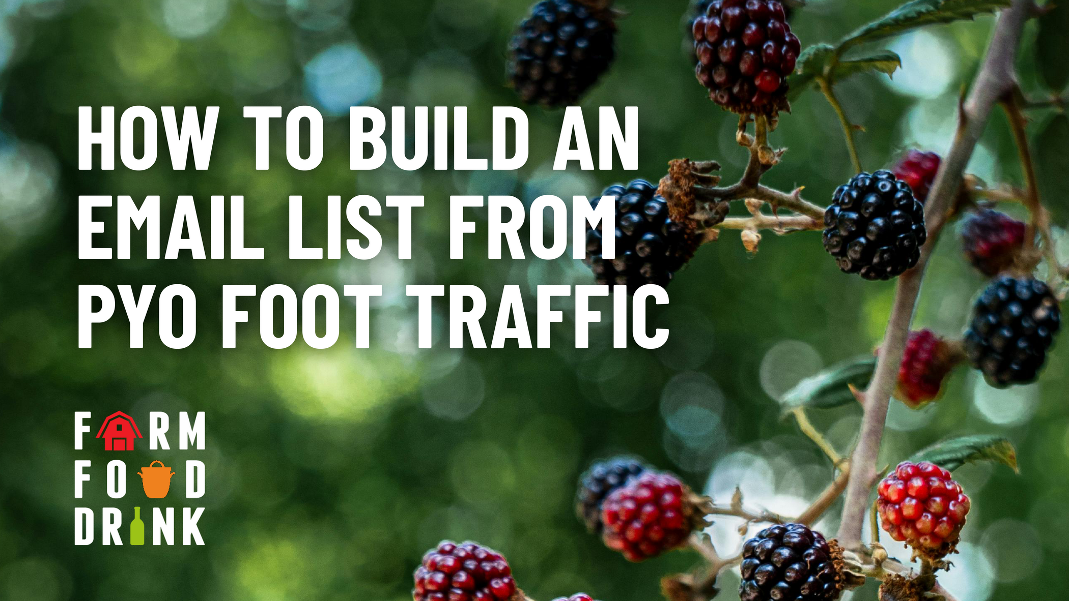 How to build an email list from Pick-Your-Own (PYO) traffic